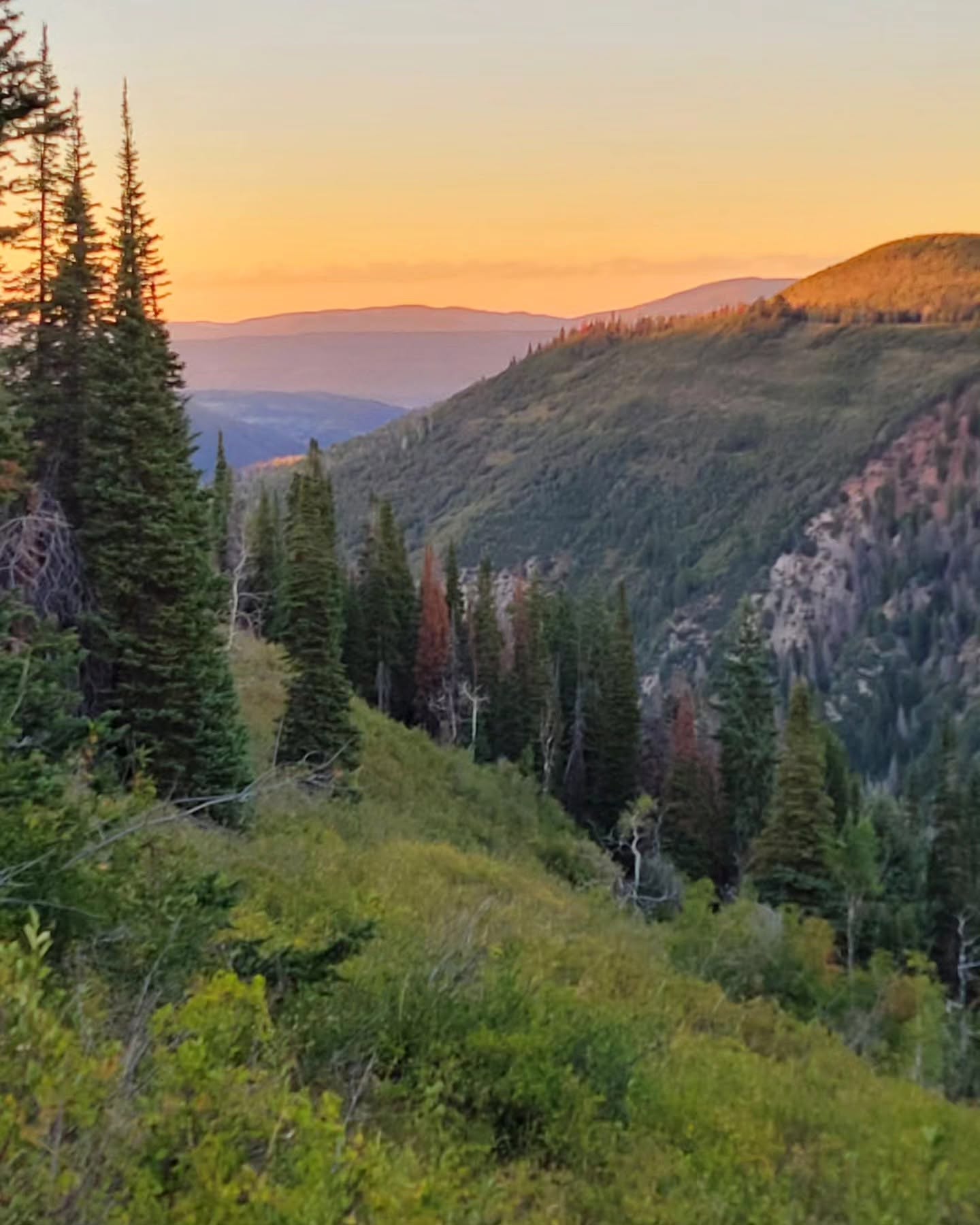 Mountain valley view from elk hunt Colorado