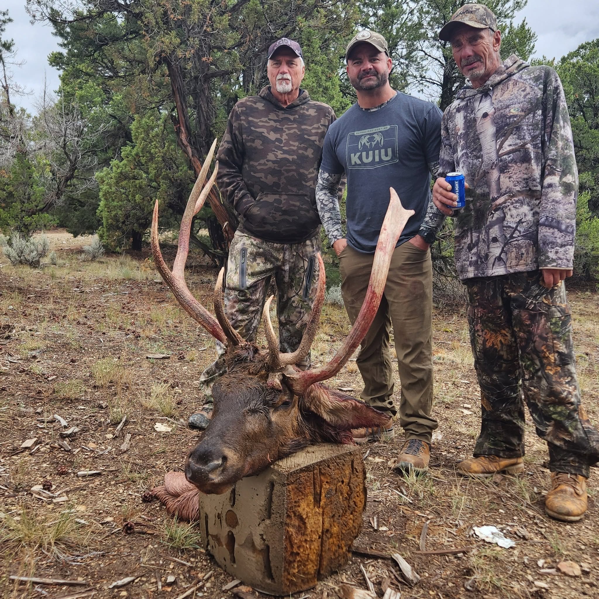 Family elk hunt near New Castle Colorado — bull packed out