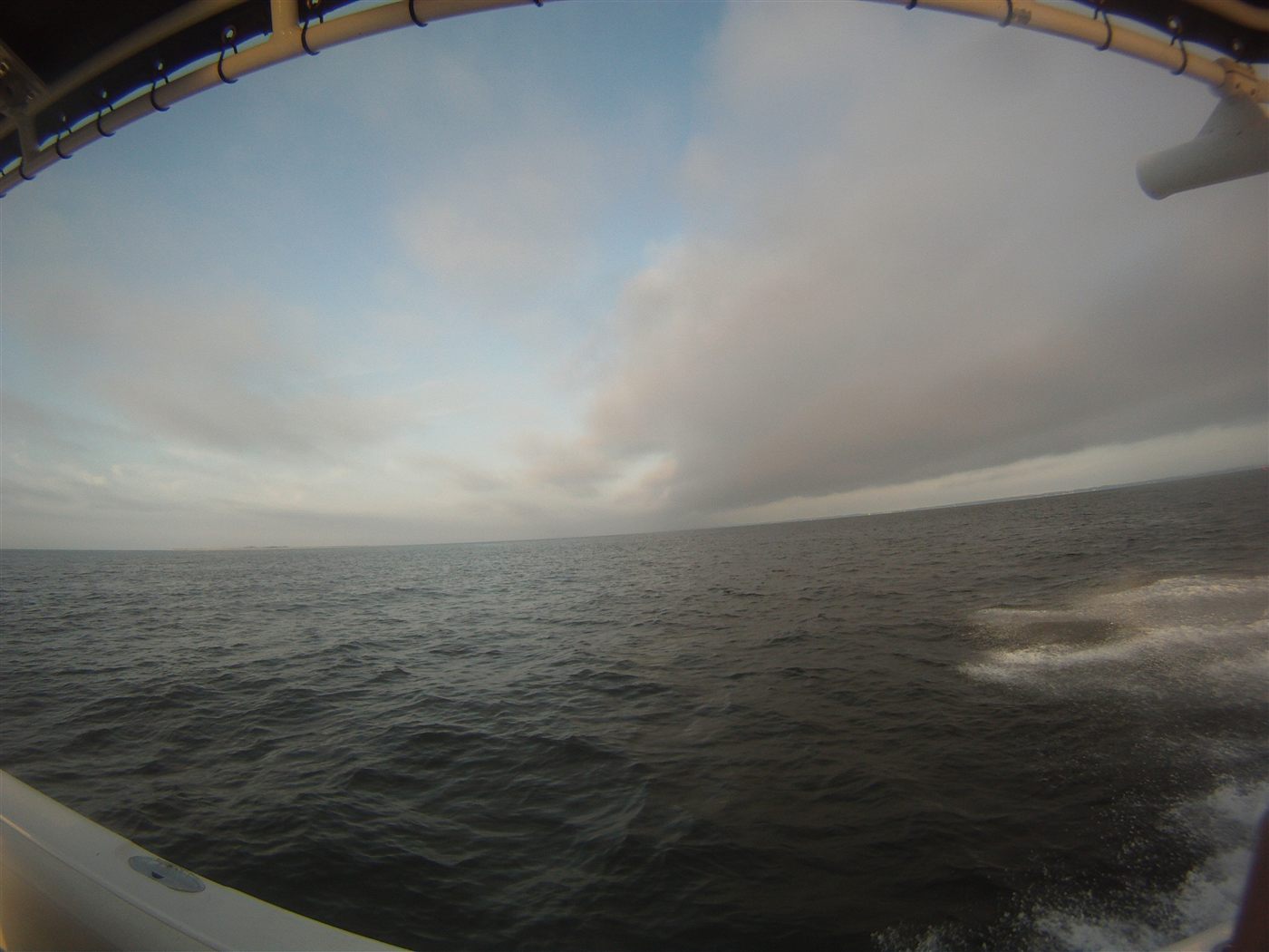 Gulf spearfishing dive photo 6