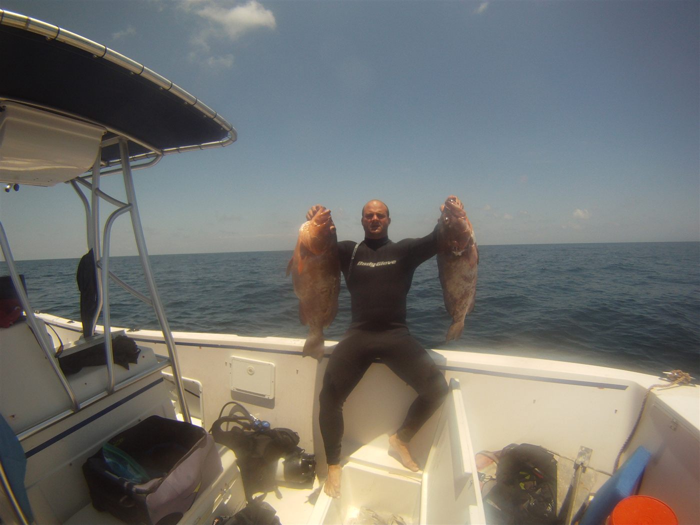 Gulf spearfishing dive photo 7