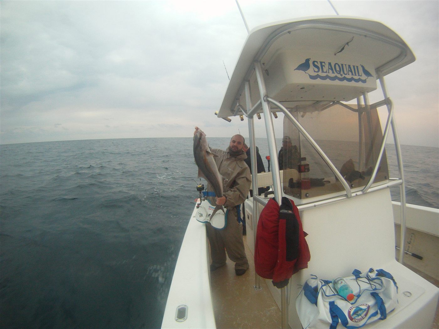 Gulf spearfishing dive photo 11