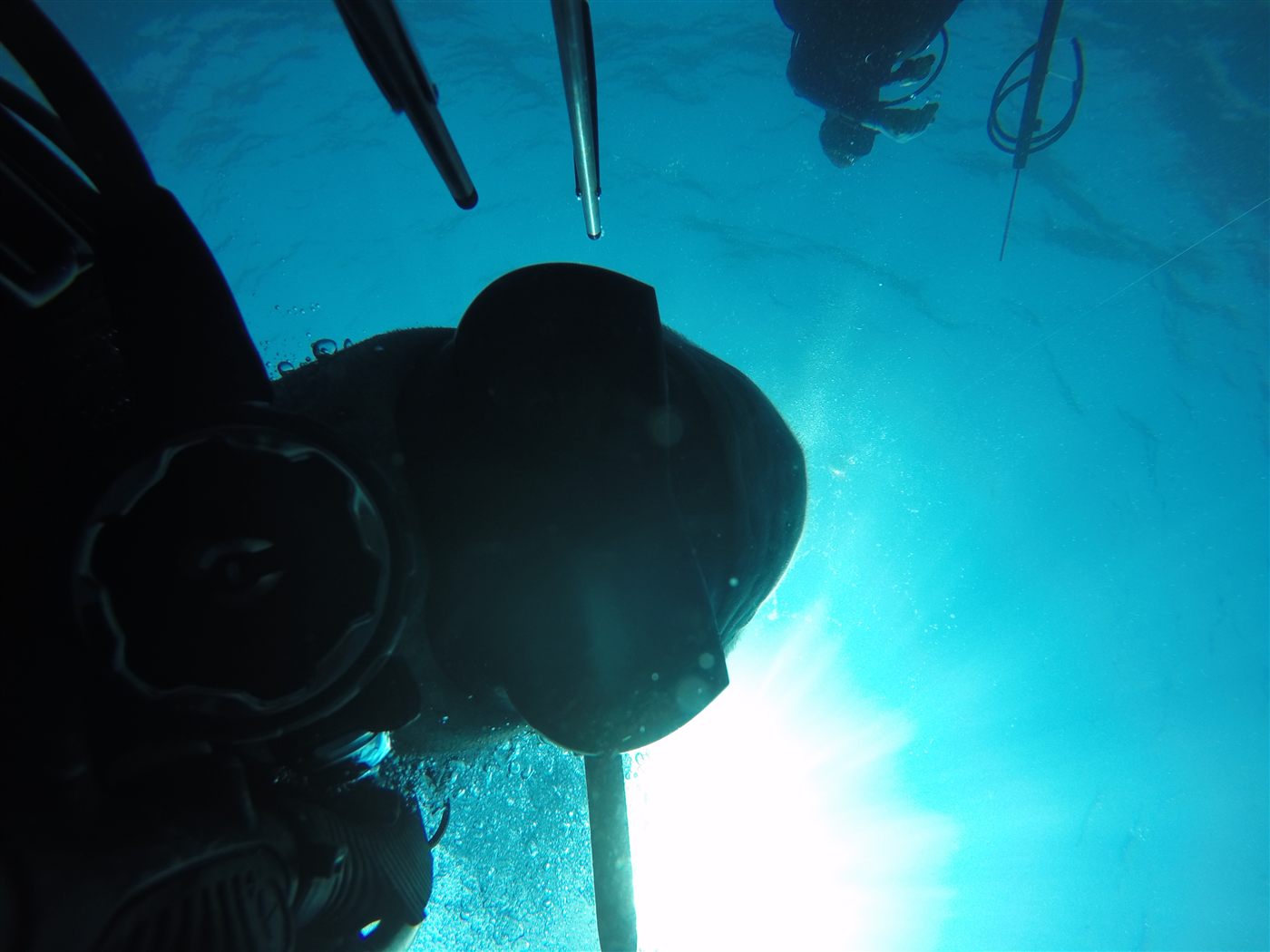 Gulf spearfishing dive photo 12