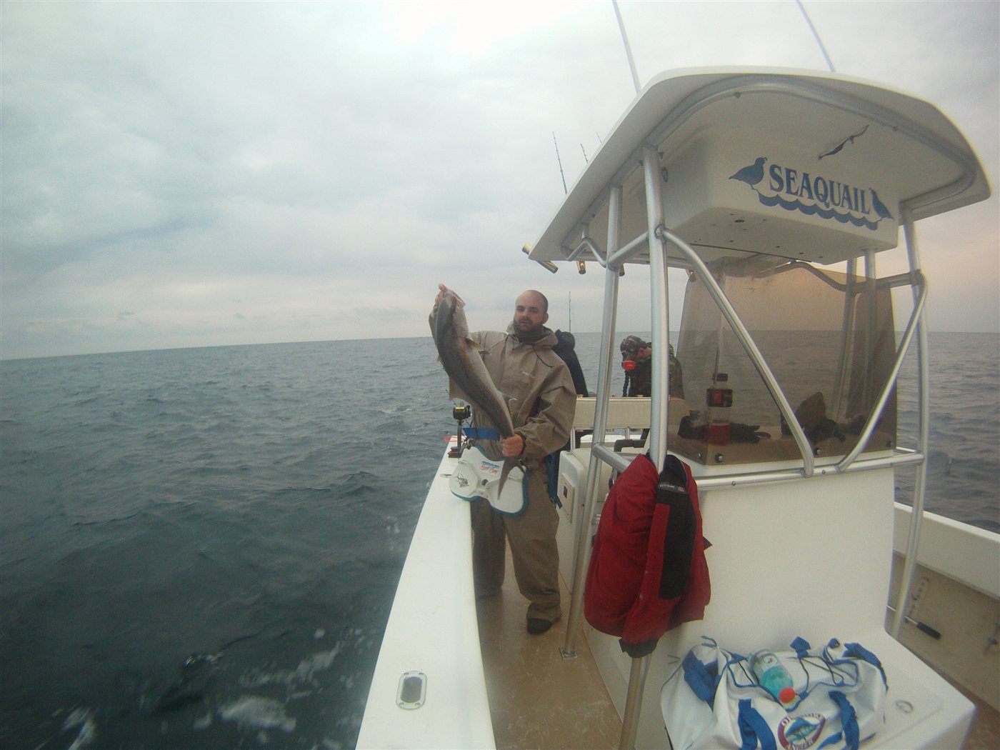 Gulf spearfishing dive photo 17