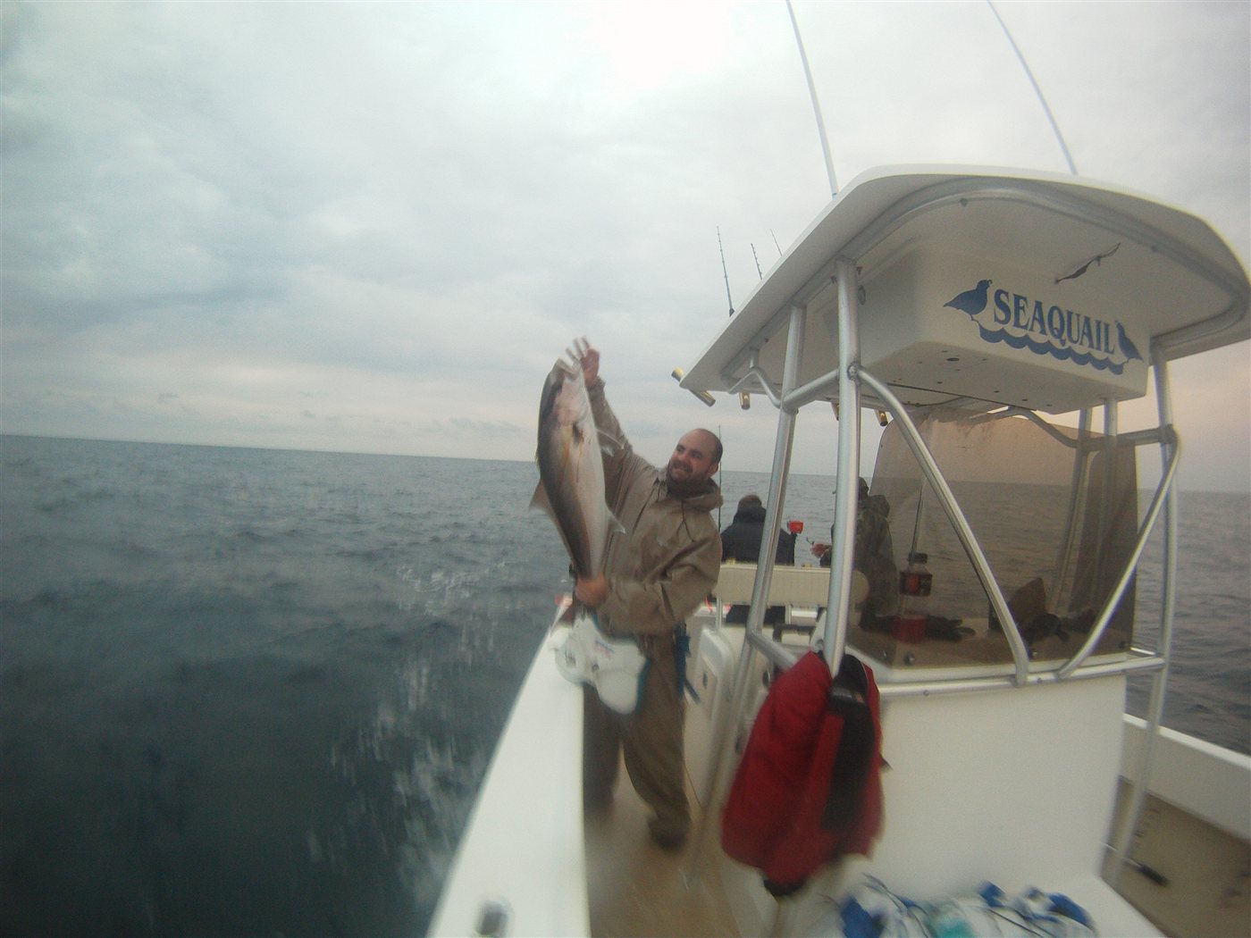 Gulf spearfishing dive photo 18