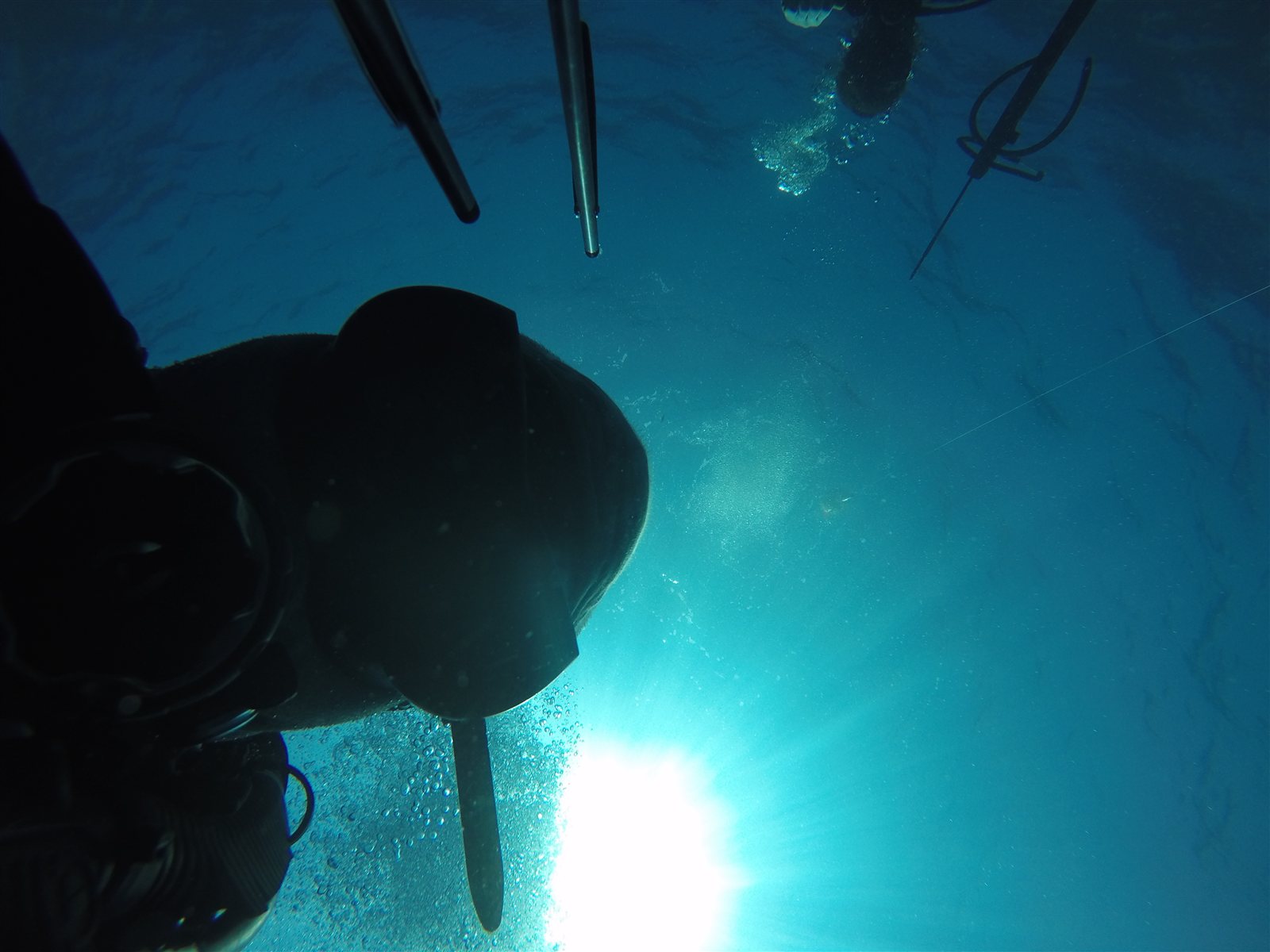 Large black grouper spearfishing catch on Gulf ledge dive