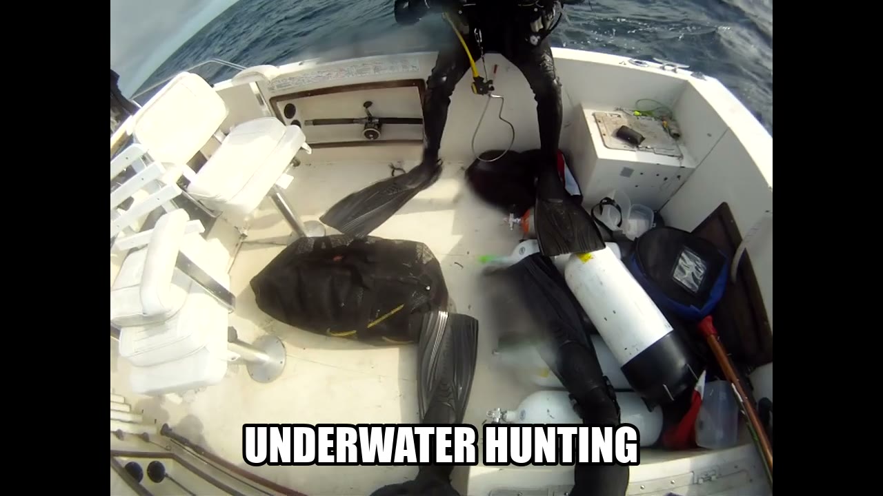 Underwater hunting highlight reel poster