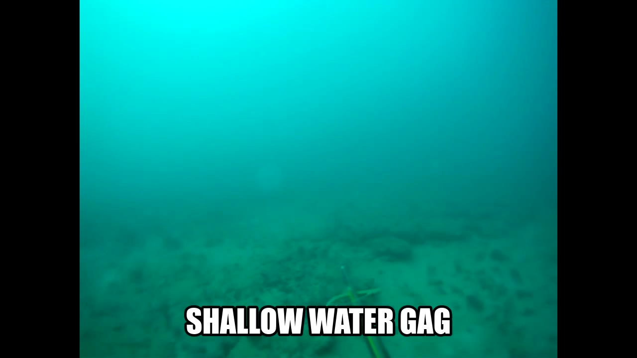 Shallow water gag poster